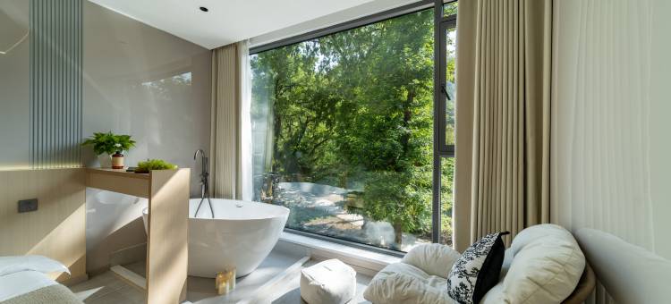 三陆山庄MOUNTAINSRIVERSBAMBOOSEA·轻奢美宿(水墨汀溪风景区店)图片