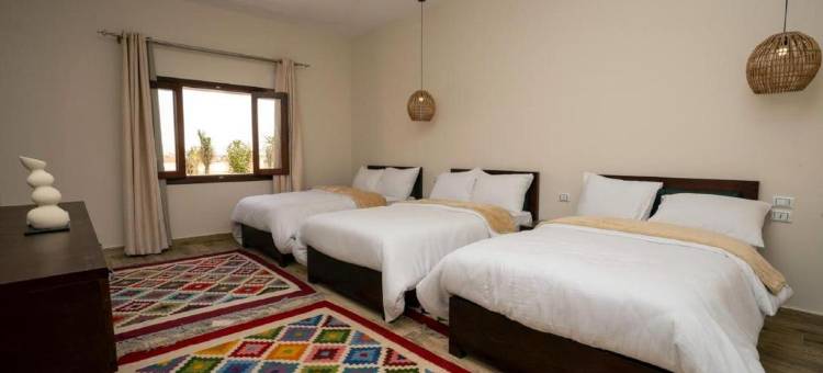 阿扎德西瓦酒店(Azad Siwa Hotel)图片