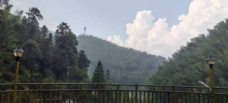 炎陵神农谷.密花生态园图片