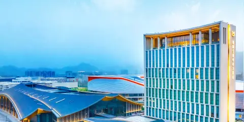 麗水國際會展中心大酒店