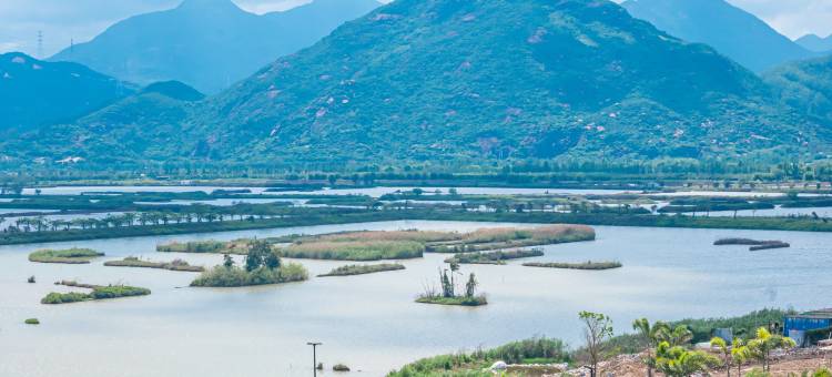江门御泉湖居温泉酒店图片