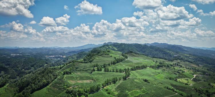 湄潭仙霞栖谷度假酒店图片