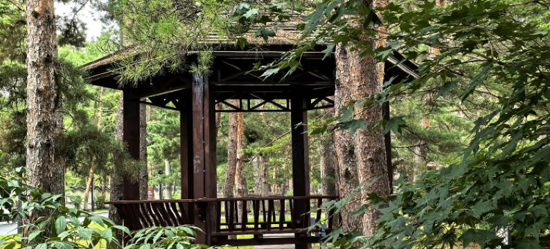 长白山书院天池酒店图片