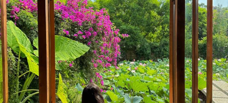 美蓝美旅·森林疗愈民宿图片