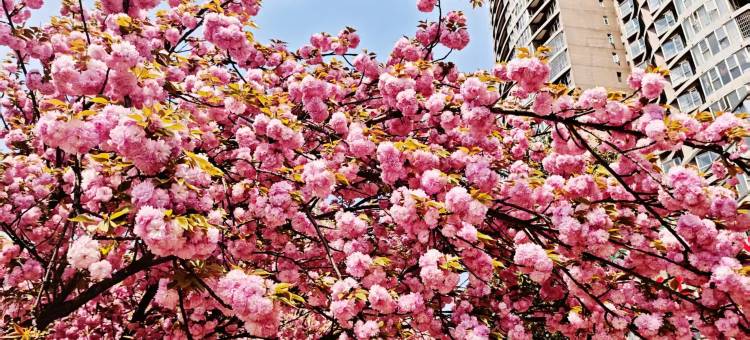 六盘水留客民宿(万达广场店)图片