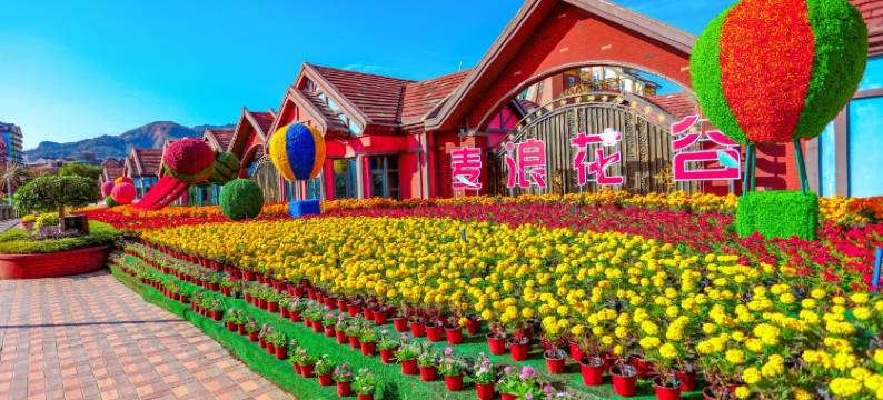 桐栖云舍度假别墅(河源巴伐利亚庄园店)图片