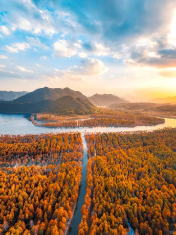 森与溪·泊野|山景·临溪·夏日泳池°亲子美宿(皖南川藏线板桥店)图片