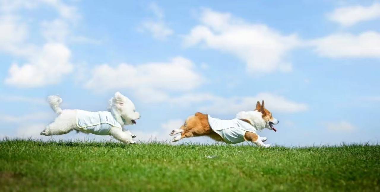 麻阳米墅清淼温泉度假民宿图片