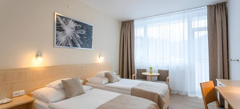 贝侯内克酒店(Hotel Behounek)图片