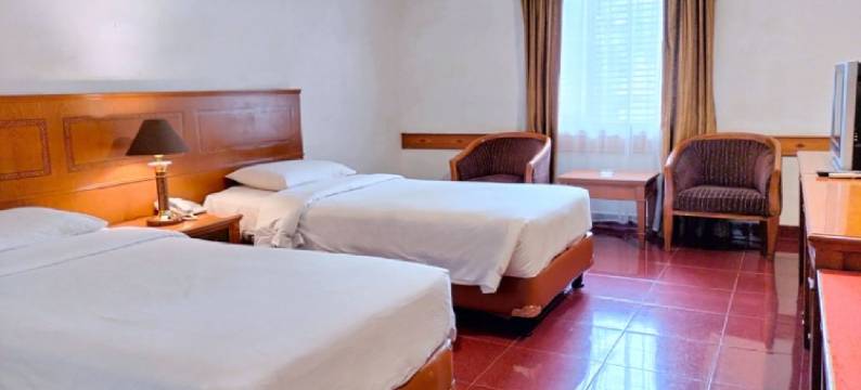 帕尔代德国际酒店(Pardede International Hotel)图片