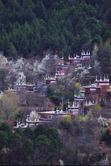 丹巴雅稞云舍图片
