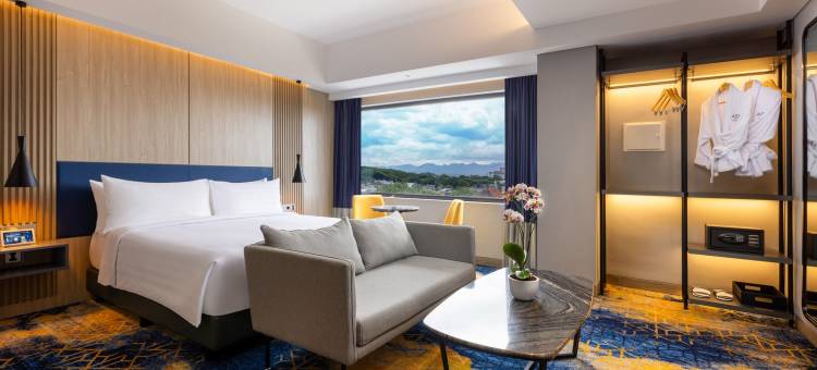 阿斯顿玛琅酒店及会议中心(Aston Malang Hotel & Conference Center)图片