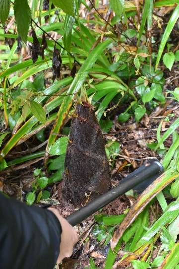 大乐之野(重庆四面山店)图片