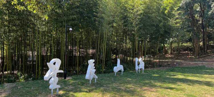 杭州星辰山海营地图片