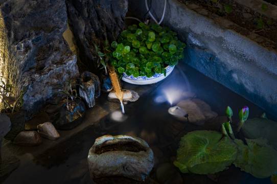 雁荡沐心民宿(灵峰景区店)图片