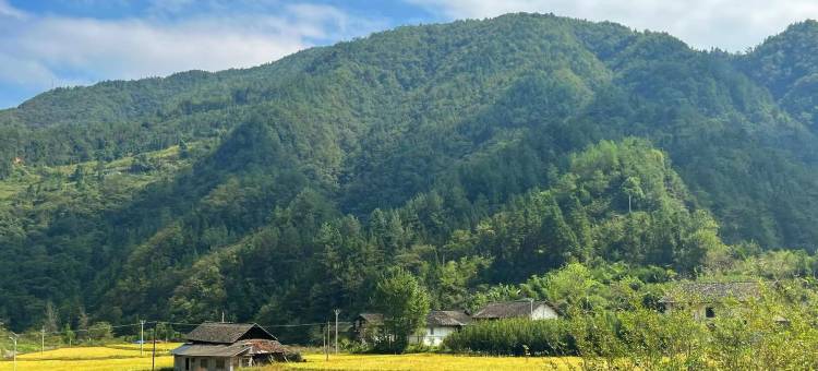 临溪山居民宿图片