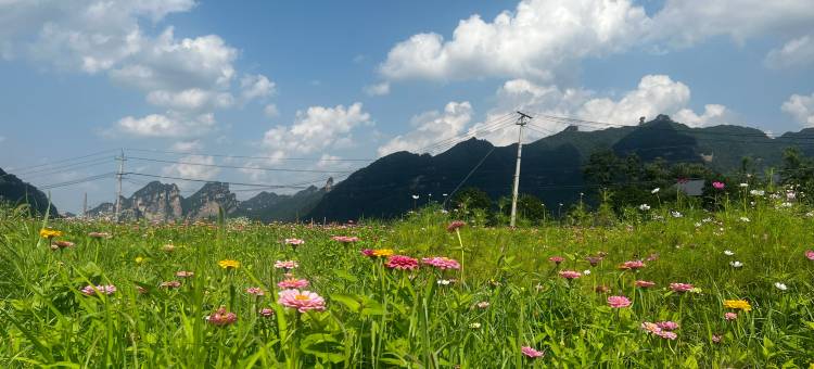 谷雨民宿(张家界国家森林公园店)图片