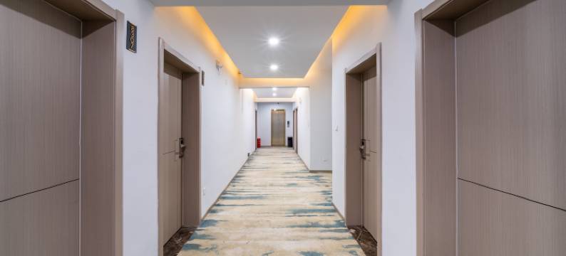 花田梦艺术酒店(武汉天河机场店)图片