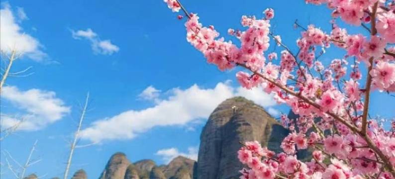 龙南客家旅游酒店图片