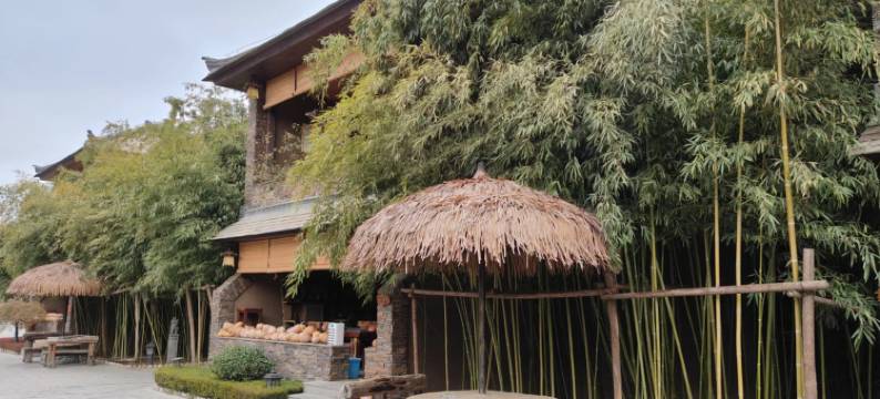 四季竹林书院图片