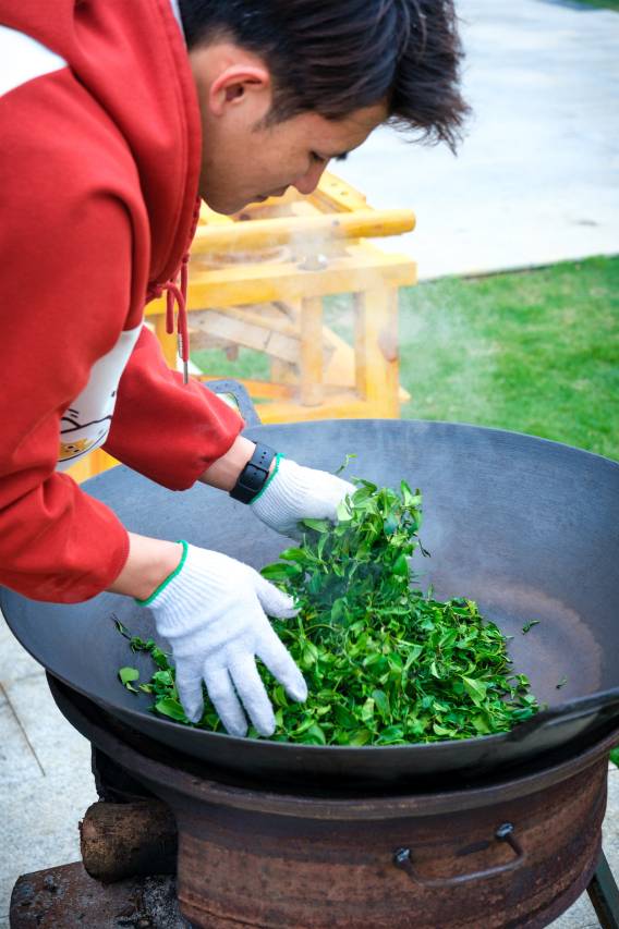 逸山海·慢享榄园茶疗私汤度假民宿图片