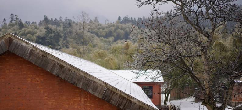 庐山香樟小院·星空露营青旅美宿(庐山好汉坡店)图片