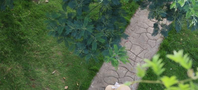 普者黑野望·宿湖景轻奢民宿(青龙山码头店)图片