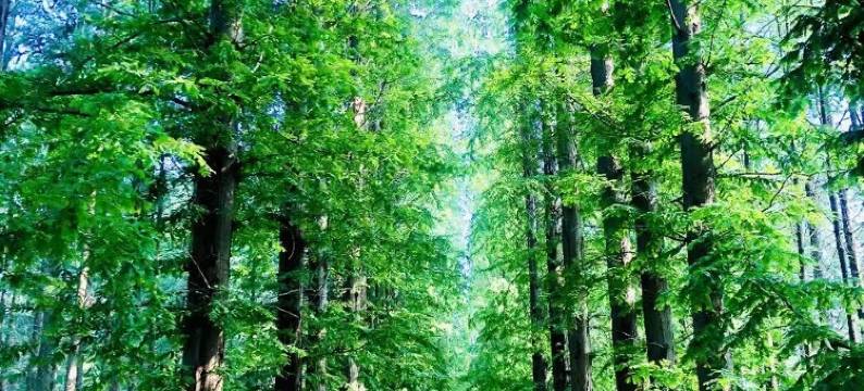 仟佰居酒店(山东东路店)图片