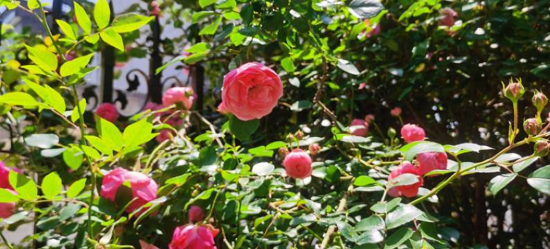 松阳八卦一驿站民宿图片