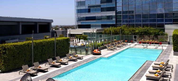 洛杉矶活力洛城JW万豪酒店(JW Marriott Los Angeles L.A. LIVE)图片