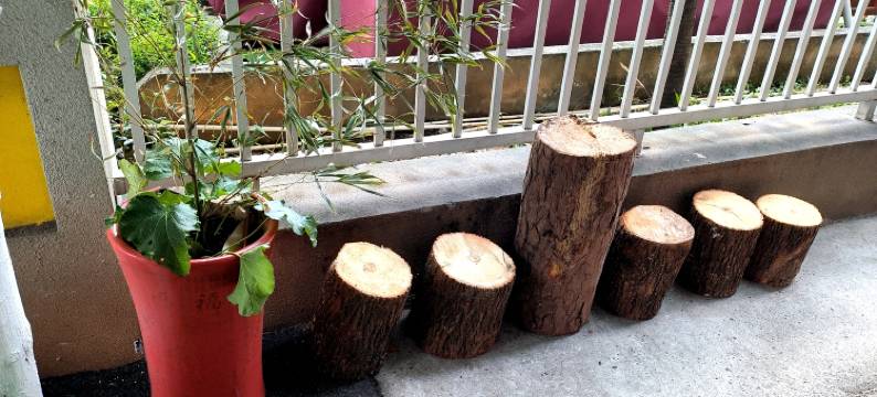 背包客青年旅舍(裕后街店)图片