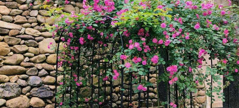 拾栖山院·设计师智能民宿(黄山风景区汤口南大门店)图片