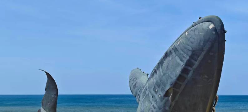 烟台丽景华侨海洋文化主题酒店(第一海水浴场烟台站店)图片