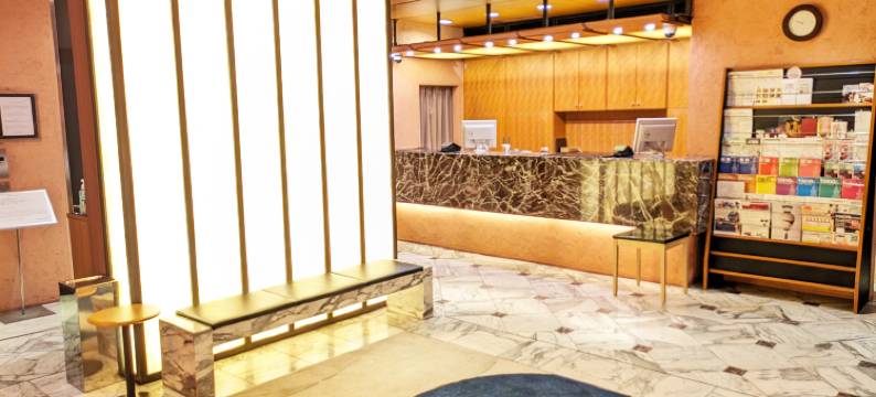 日本桥赛博酒店(Hotel Nihonbashi Saibo)图片