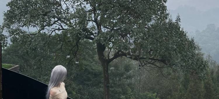 青城山路之绿谷度假酒店图片