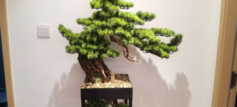 五感•里舍民宿(大同文赢湖店)图片