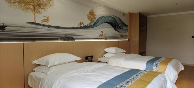 维西德鲁克国际大酒店图片