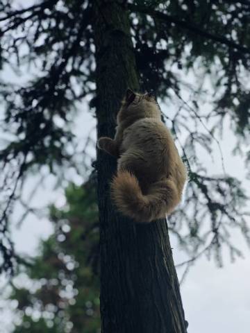 悬崖边边FAMILY度假地·山璞图片
