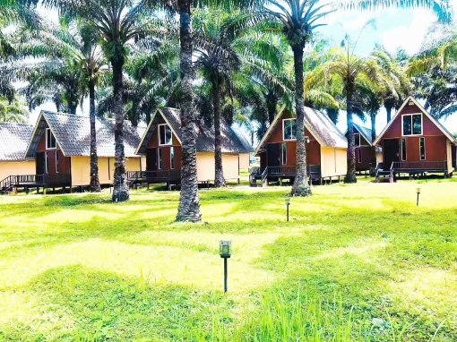 Nature Resort Hotel Overview