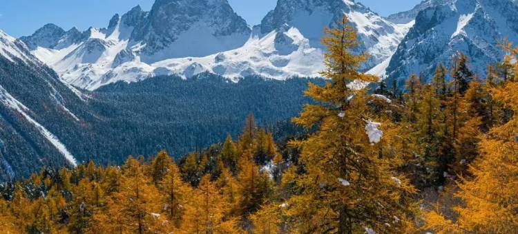 香格里拉亲爱的客栈(独克宗古城店)图片