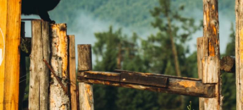 河畔·Garden设计师庭院度假民宿(禾木桥店)图片