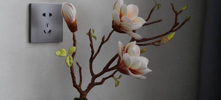 零点城市酒店(彬州市汽车站店)图片