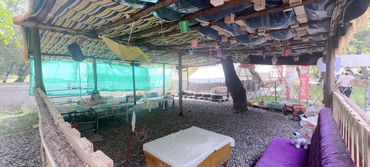 乌鲁木齐疆山下见溪间露营俱乐部图片