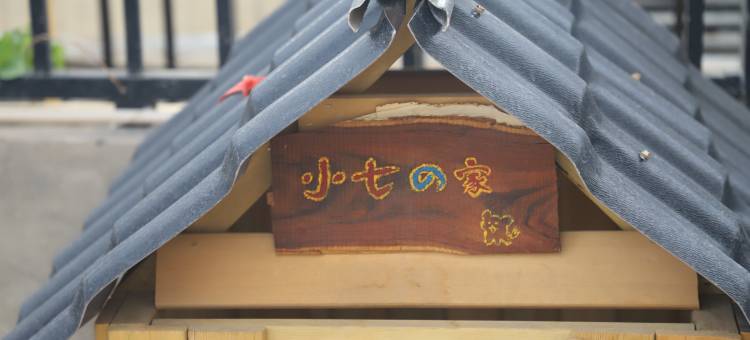 余七青旅图片