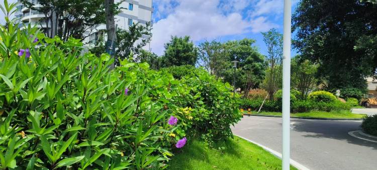 东山屿漫民宿(金銮湾店)图片