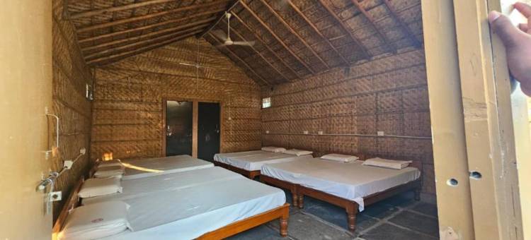 岩石上的国王(The King On The Rocks)图片