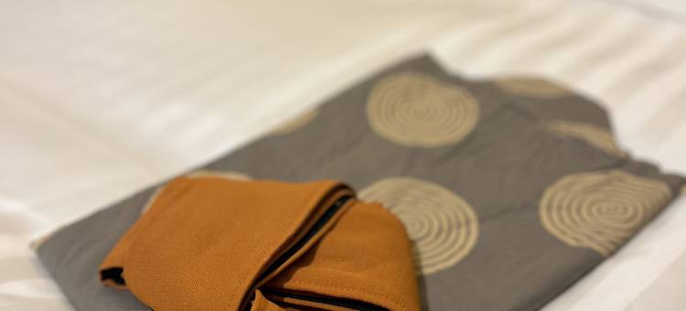 道后帕提欧酒店(Hotel Patio Dogo)图片