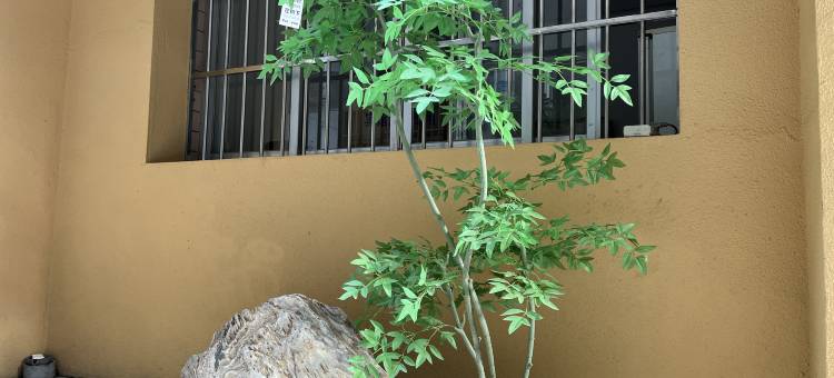西安美亚酒店(长安大学城何家营地铁站店)图片