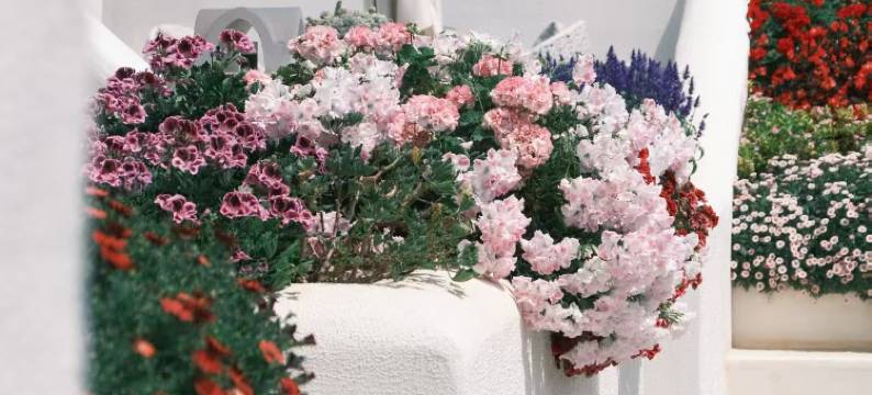 大理松云度假海景美宿图片