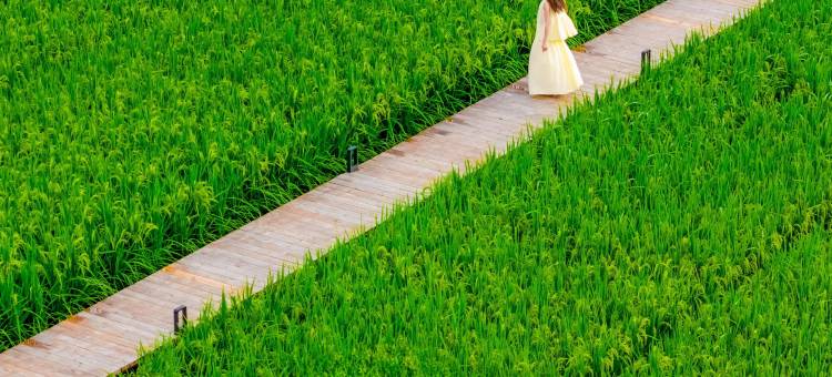 云栖陌野度假美宿(英西峰林店)图片